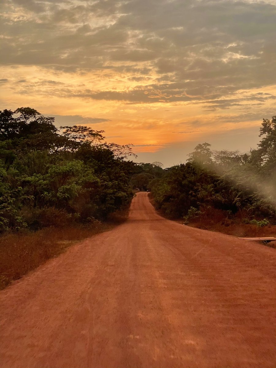 GallozziMrita's tweet photo. ....quando l’Africa ti regala i colori...
#sullapista #cameroun #congobassin #momentidiaudit #Africa #buongiorno #alba https://t.co/GYSHHXauFd