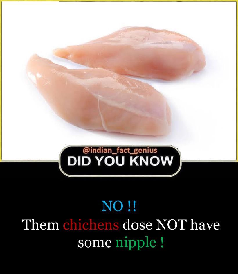 Indianfactgenis's tweet photo. Common mith Did you know? #Facts #fact #indianfact https://t.co/fttUd5Z8FE
