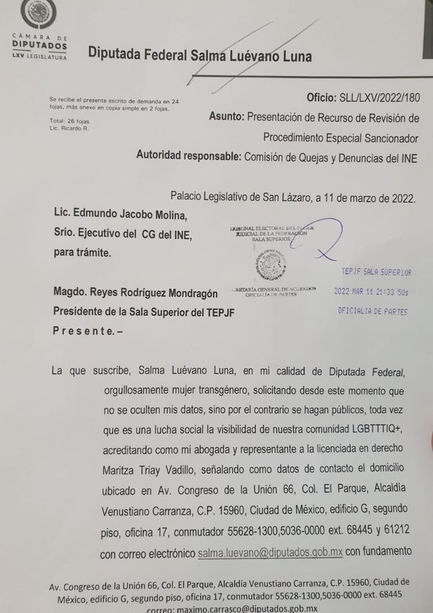 SalmaLuevano's tweet photo. Ahora resulta que, para el @INEMexico, los discursos transfóbicos de @g_quadri, "no aluden a una persona en particular o un colectivo de mujeres". Esta arbitrariedad, la he impugnado ante Sala Superior del @TEPJF. #HastaQueLaDignidadSeHagaCostumbre @NachoMierV @Sergeluna_S https://t.co/sGtSNLVxLb