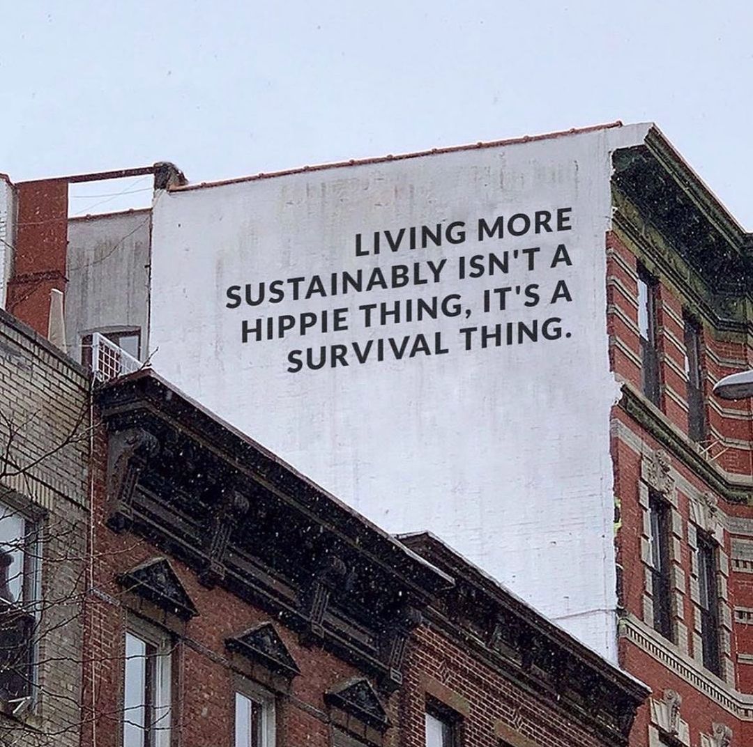 ClintoneBill's tweet image. Living Sustainably  Is NOT a Hippie  Thing, It's  a Survival  Thing. I Encourage  You  To Live Sustainably  Each Day At a time.