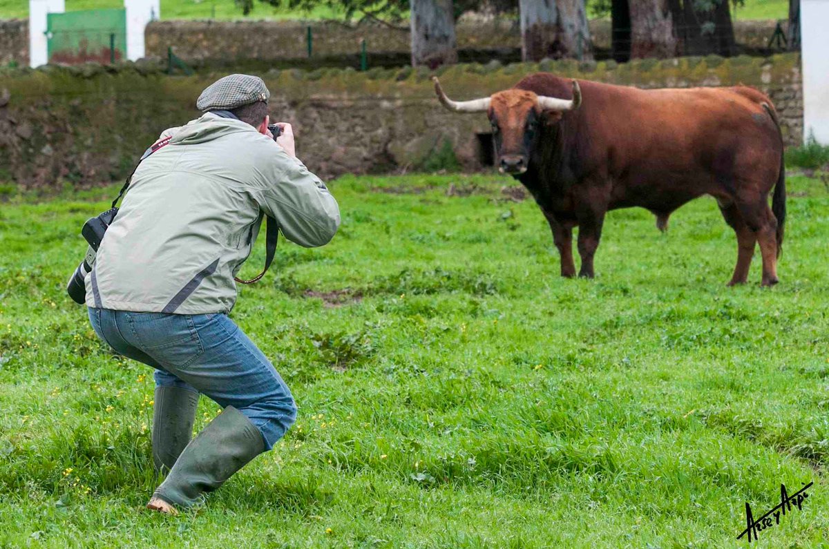 PenaALosToros's tweet photo. Aficionado, coureur d'encierro, photographe...le pamplonais Gorka Azpilicueta sera vendredi 18 mars l'invité de la Peña A Los Toros.
6Vivencias6!
Paseo à 20h. Entrée libre. https://t.co/f0AQL3Lfq3