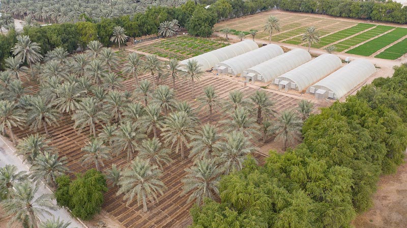 MarhabaQatar's tweet photo. #DiscoverQatar launched two interactive tours to showcase the country's organic farming! In partnership with #HeenatSalmaFarm, the tours promise to give guests an authentic #Qatariculture experience and the opportunity to learn more about #organicfarming
https://t.co/Kc85gcOXMd https://t.co/lW8Bki4gEI