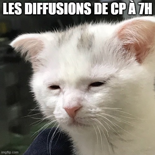 Mon métier c'est RP tweet media