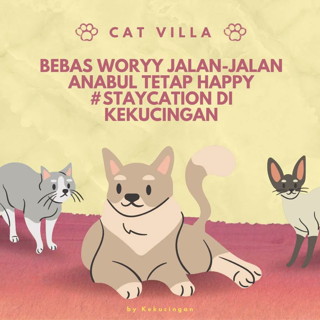 Kekucingan tweet media