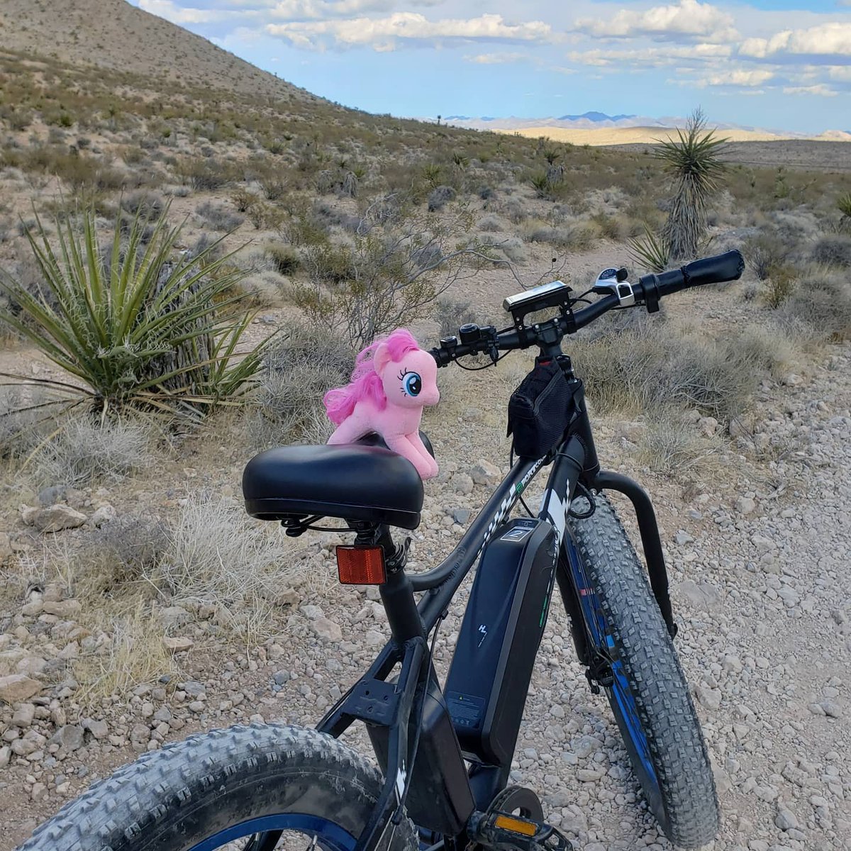 Ecotricbicycle's tweet photo. Does anyone know where to buy my Pinkie Pie a mini helmet? 🧐🧐🧐
📸Credit: modelingnstuff
🛒: https://t.co/vcxUrDm4P2
#electricbike #ebike #bike #ecotric #pinkiepie https://t.co/GaDIKnaB4A
