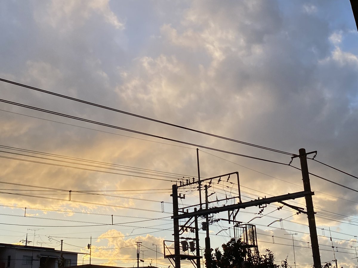 すーちゃん tweet media