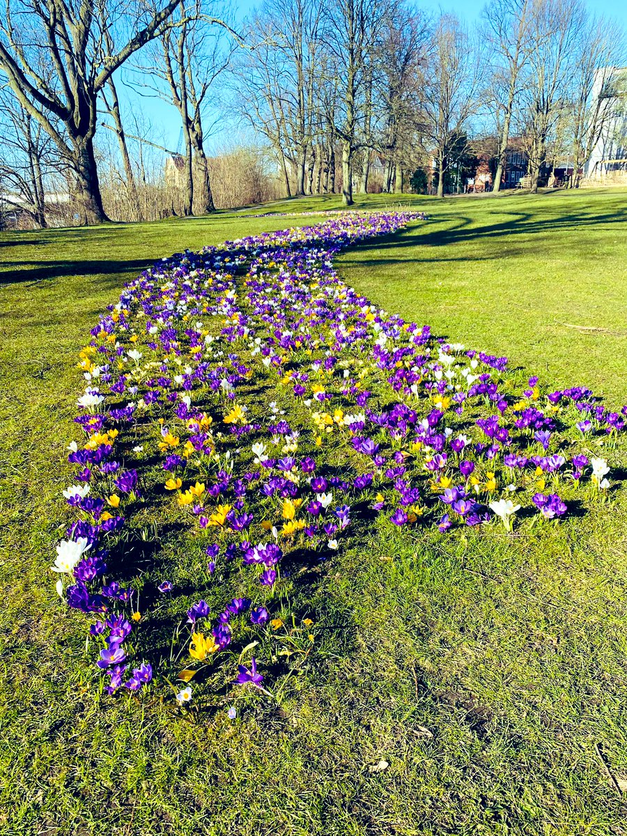 SaSaLaSharif's tweet photo. @coolinthegame Einen wunderschönen
GUTEN MORGEN ☀️
#TeamAge 💖
#Lübeck „der Pfad des Krokusses“
#BlumenStattBlut🩸 https://t.co/pXAqpgCTV0