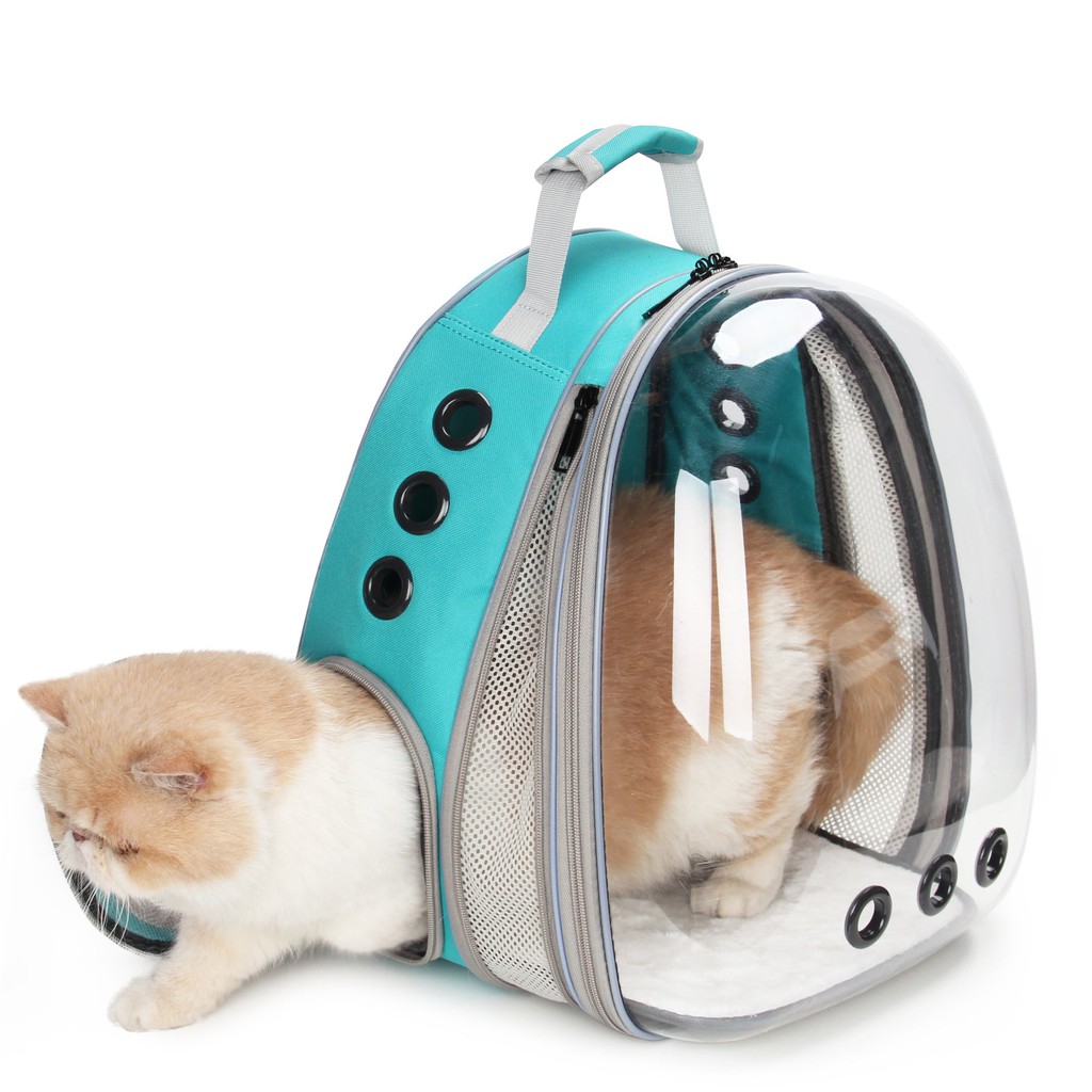 CitizenShipper's tweet image. The Lollimeow backpack's large bubble window gives kitty a clear view of its surroundings — the window can be expanded for additional space inside the pack.

Read more 👉 citizenshipper.com/blog/best-cat-…

#catbackpack #ForCatPeople #Cattravel #catsoftwitter #CatWearing