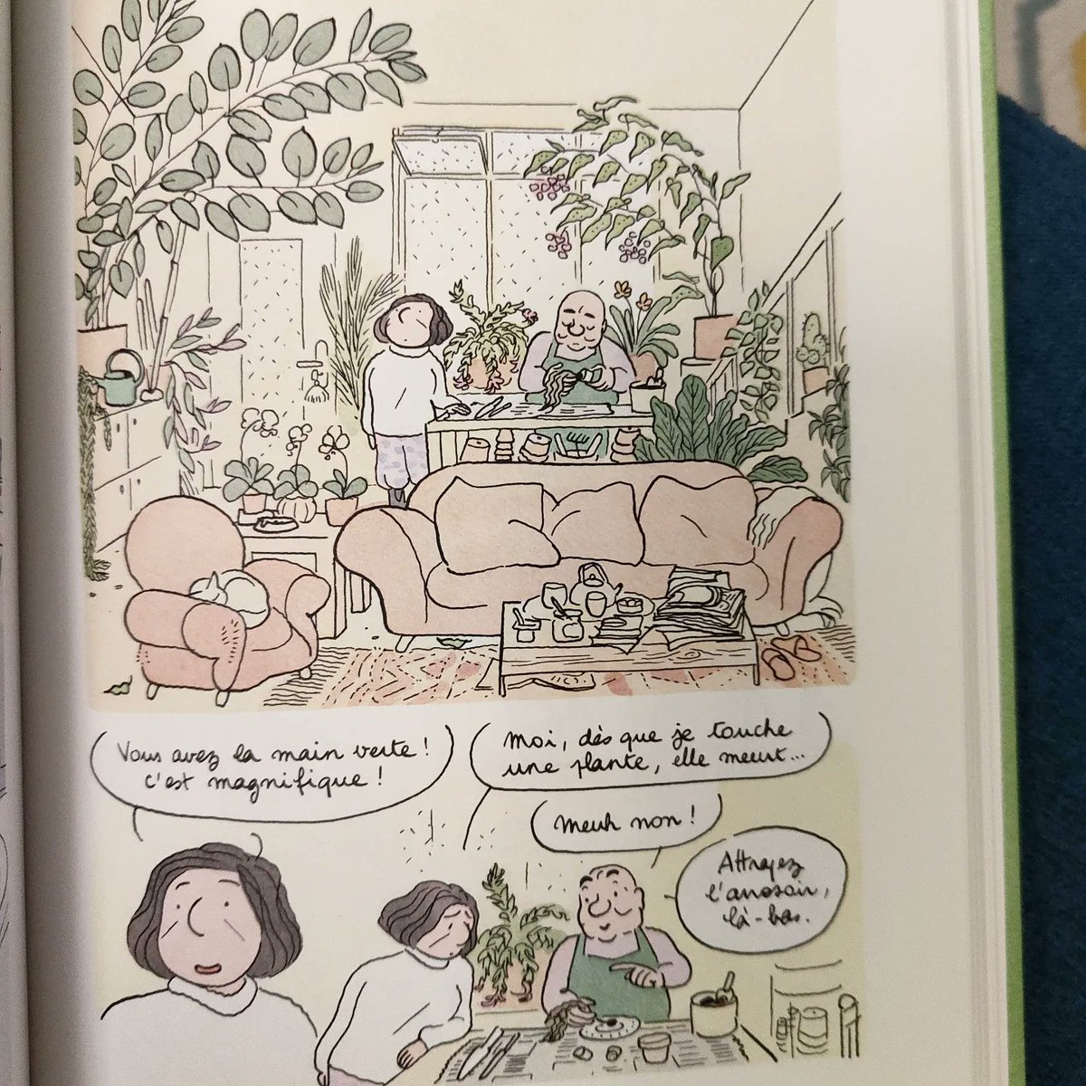 📚 La lecture du jour : cette super BD de chez <a href="/EditionsDargaud/">Editions Dargaud</a>  🤓 #booktwt #dargaud #amalia