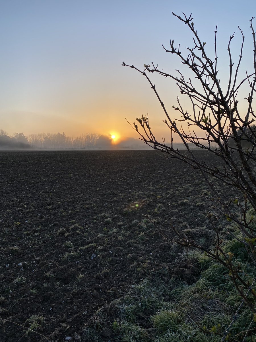 Trea Murphy 🌷 tweet media