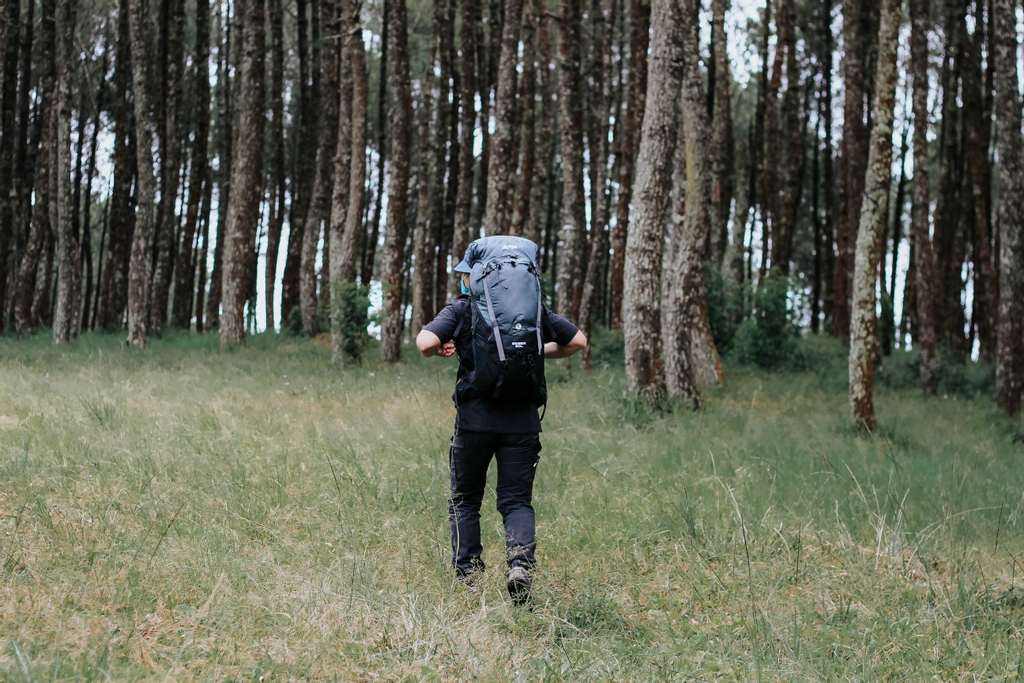 Coba absen yang udah kangen nanjak nih, mana suaranyaa😁⁠