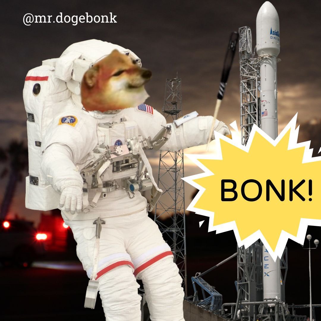 STONKTOPUSREX's tweet photo. DOBO 1 Satellite operational. #DogeBonk #DOBO #KeepCryptoWeird #firstcryptoinspace https://t.co/xf8tryFJ1t