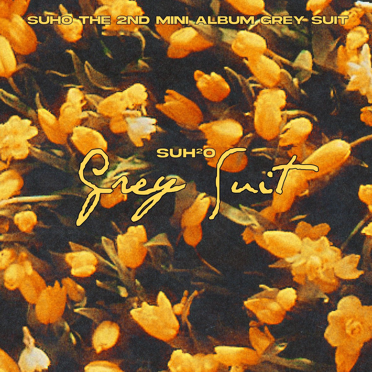 [PRE/พรี] #SUHO #EXO : #GreySuit

✔สุ่มปก มีโปส
✔มัดจำได้

🌟บั้มละ 630฿ 
📦ค่าส่ง 120/150
►facebook.com/media/set/?set… 

#ตลาดนัดEXO #ตลาดนัดเอ็กโซ <a href="/SM_cardTH/">SM_cardTH</a> @EXOL_Market <a href="/allcutekorea/">cнϋ</a> <a href="/Koreacafe_RT/">𝑲𝒐𝒓𝒆𝒂𝒄𝒂𝒇𝒆</a> <a href="/_re4u/">RTรีทุกอย่าง</a> #ซูโฮ