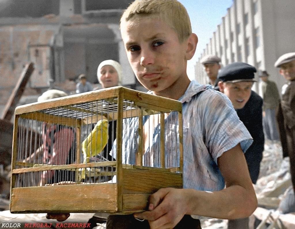 paddyney's tweet image. Warsaw. Polish boy 1939. Ukrainian girl 2022.
Ukraine - your women and children are welcome with us.
Because Poland knows what the price of freedom is.