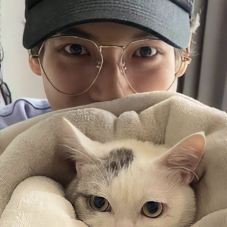 baebeaboo's tweet photo. first, ayang - 🐬 https://t.co/cxAkQuh5gD