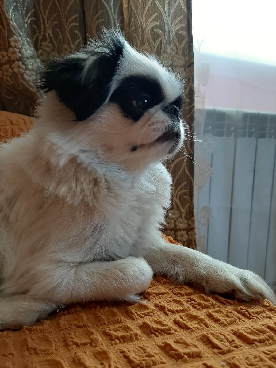 Milskgh's tweet photo. @aronwentshoppin Утречка https://t.co/HtLejCa4iM