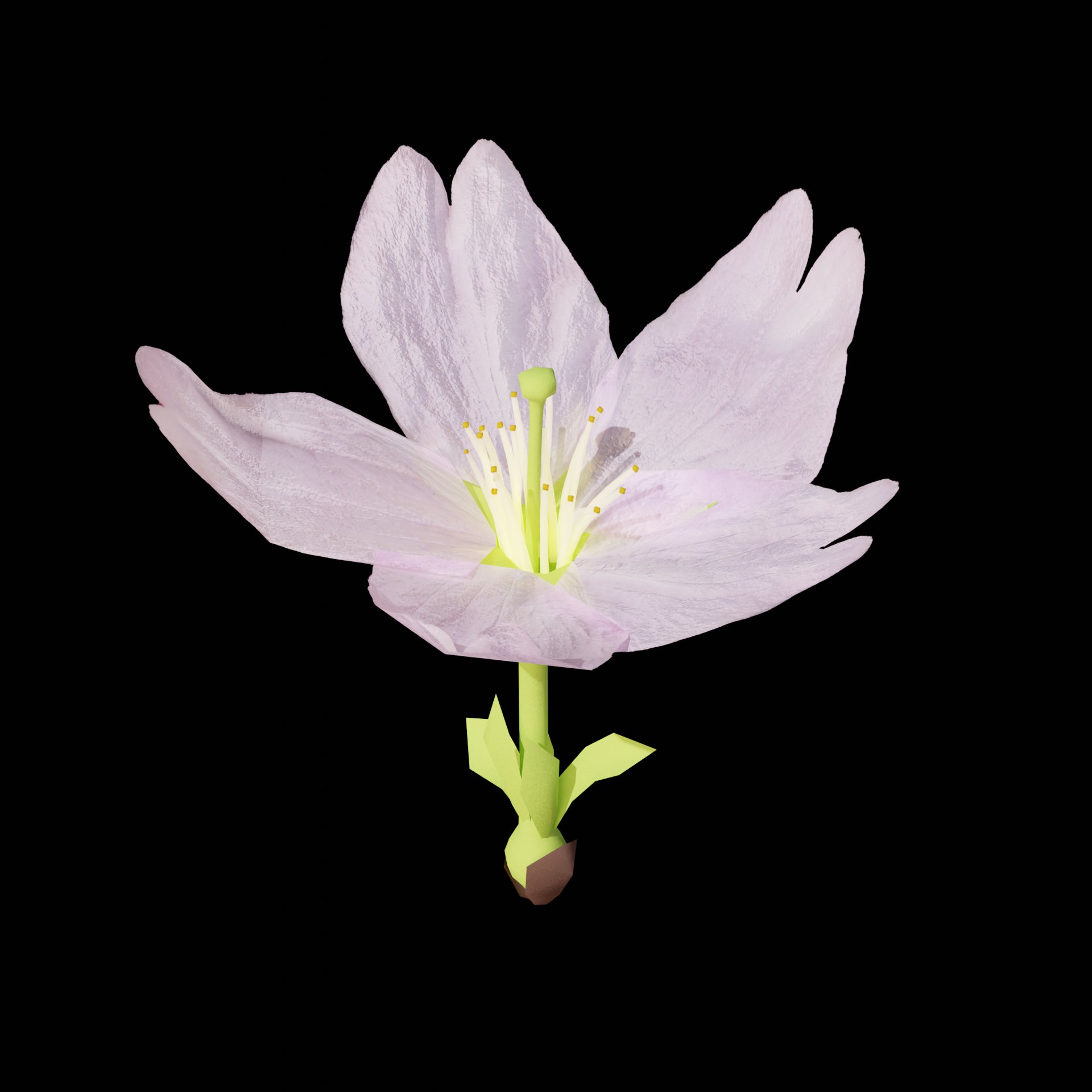 Jump Jun 桜 花だけのモデル 花びらのテクスチャは写真から 花屋さんで生け花用のものが売っていたのでつい買ってしまいました d T Co Hhuqiw3oo7 Twitter
