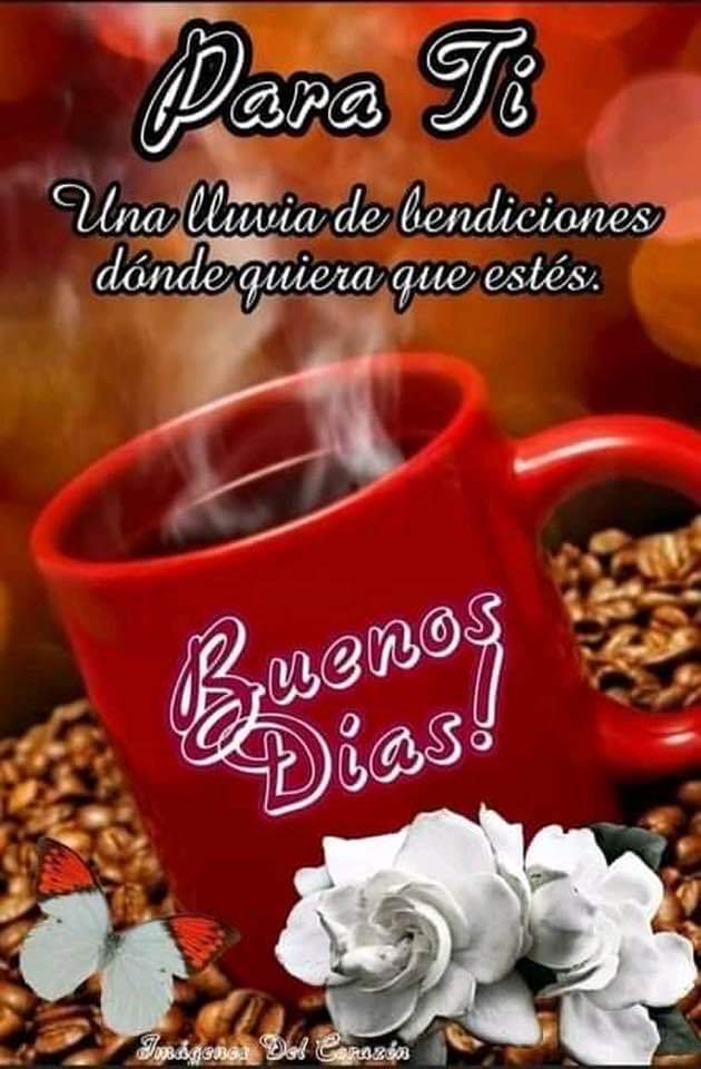 reinaldo_nu's tweet photo. @CHACHITIEPERMA1 https://t.co/OVtwaHGx35