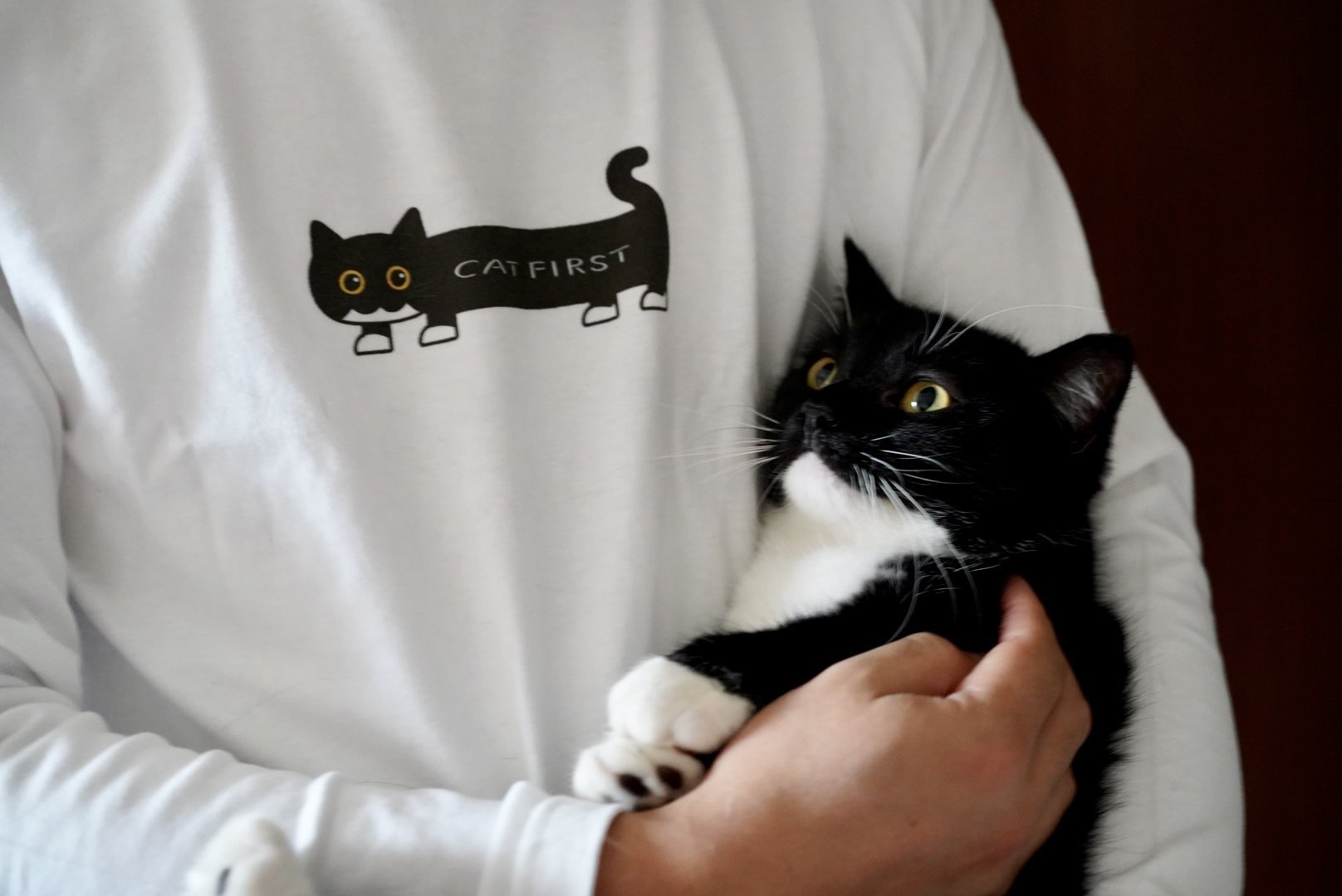 うに ねこ休み展 Unicouniuni3 Twitter