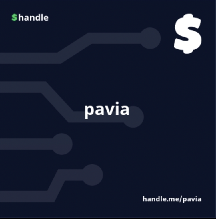 Pavia_io's tweet photo. Happy to share our @adahandle $pavia which also corresponds with the name of our Cardano native token. Don't forget you can already link your $handle to your Land on https://t.co/fwayJSxJpG should you wish and we will continue to work on further use cases in the metaverse. https://t.co/4mxJ7QTOzb