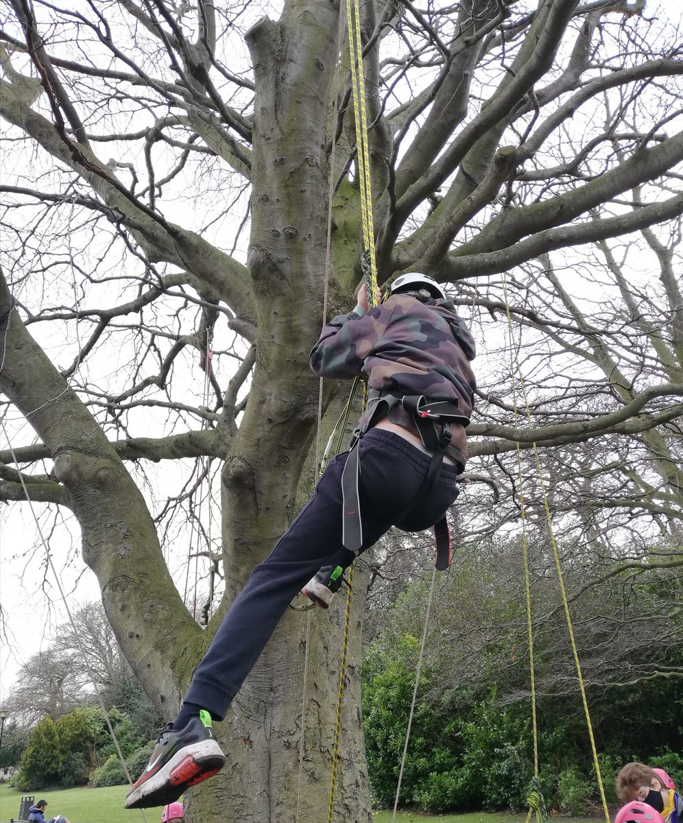 MrsMP7Cockenzie's tweet photo. Day 2 of P7 @CockenziePS ACE Escape days are off to a flying start! @ELOutdoorEd. Tree climbing, slack lining and fire building! 🌲🧗‍♀️🧗‍♂️ #outdooreducation #loveoftheoutdoors #adventure https://t.co/nZHzanvclG