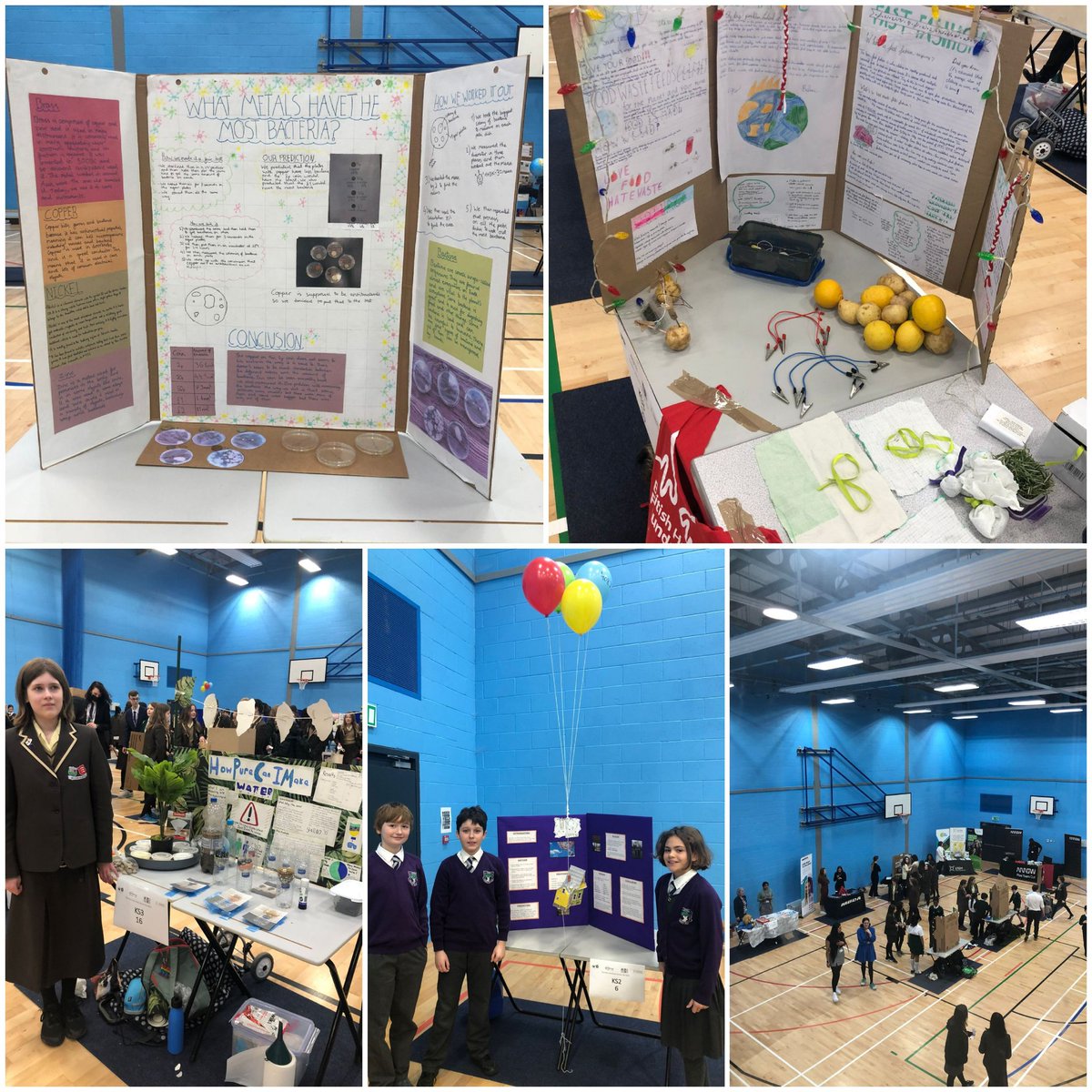 ScienceHubHEB's tweet photo. More pics of the Herts &amp; Essex Big Bang Fair 2022.
Look at all these science entries! Good luck everyone, enjoy the day!
@ThornGroveHerts @KatherineSemar @MFPrimary
@HandEHighSchool @Windhill1 @BirchwoodStort @Leventhorpenet @Summercroft1 #BIGBANGisBACK #ScienceWeek #Scienceedu https://t.co/sEeRyFXGbf