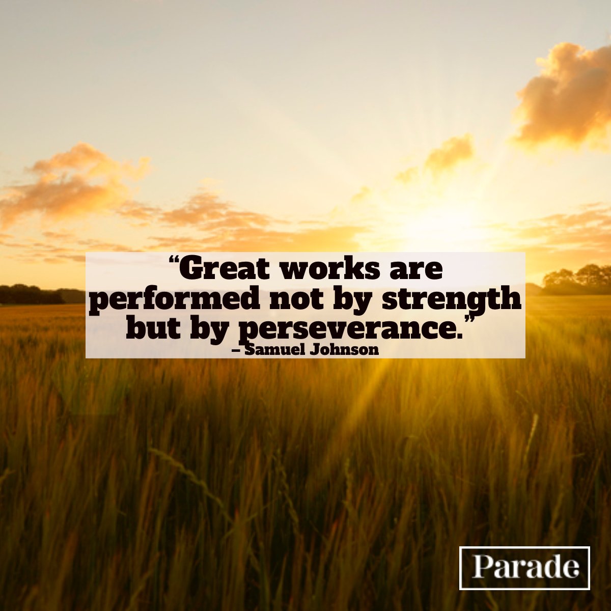 TheThresholdof1's tweet photo. Allow perseverance to become your strength. 🙏❤
#quotes #inspire https://t.co/ONSg2lBlk6