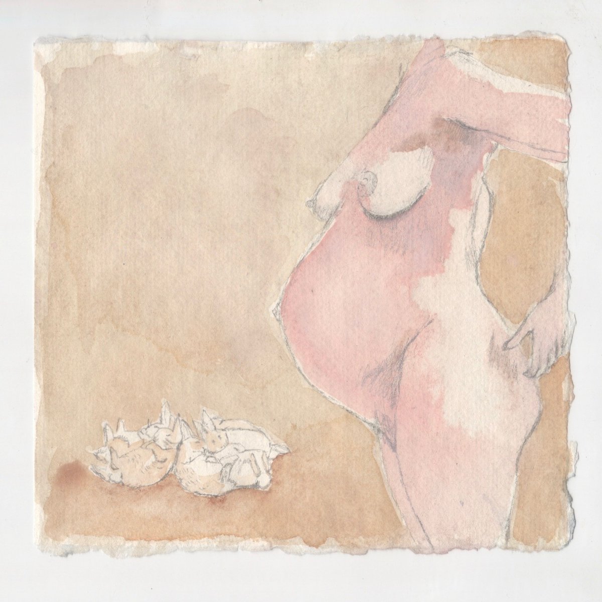 HelenSargeant's tweet photo. Happy Spring Helen Sargeant Studio News - https://t.co/dWVua67gZk https://t.co/JdLG2QG4V8