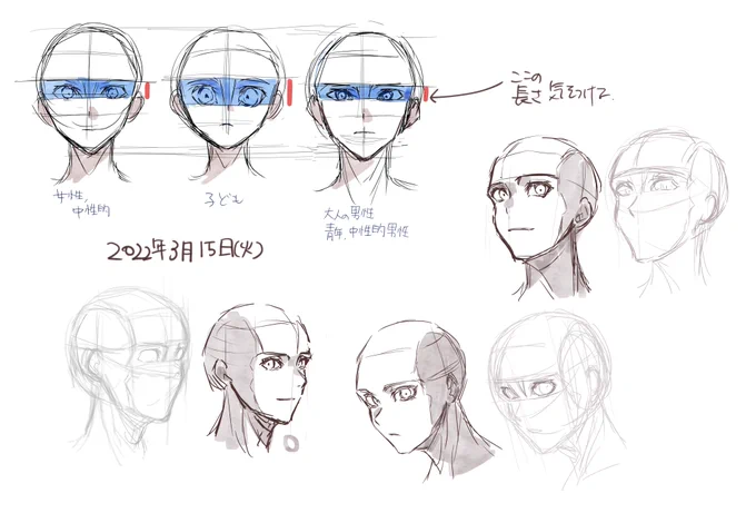 本日の練習日記④
今日は少ないけど、下描きから素体(頭)を描く工程を繰り返しやってみた。
多分綺麗になってきた!!目の幅大事😭 