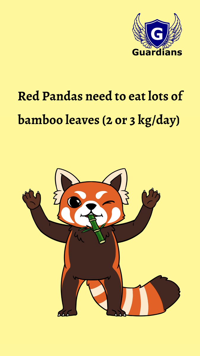 NftsGuardians's tweet photo. #redpandas #nftarts #NFTshill  #NFTartwork #TurningRed #savetheredpanda #save #wildanimals #cryptocurrency #PolygonNFTs #PolygonNFT #Ethereum #NFTCommunity #NFTcollections #redpandalove #redpandaart #redpandalovers #redpandadrawing #savetheplanet #NFTcollections #SaveTheNature https://t.co/dWkHJ8nmCh