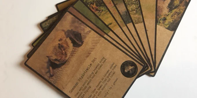 A pack of cards made to look old, the first card is a picture and description of a Common Bat.