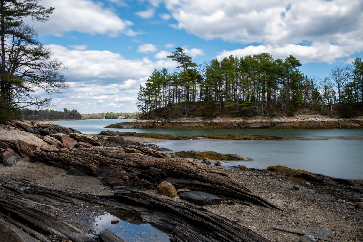 Happy Birthday, Maine! 🥳

202 ʟᴏᴏᴋꜱ ɢᴏᴏᴅ ᴏɴ ʏᴏᴜ