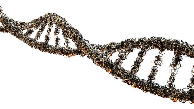 BCM_CancerEd's tweet photo. Did you know that Lynch syndrome increases your risk for #ColorectalCancer? Learn more about this genetic condition: https://t.co/RpbL4E8O5d #ScreenToSave #CancerCHE #S2S https://t.co/8MpW1MqyH8