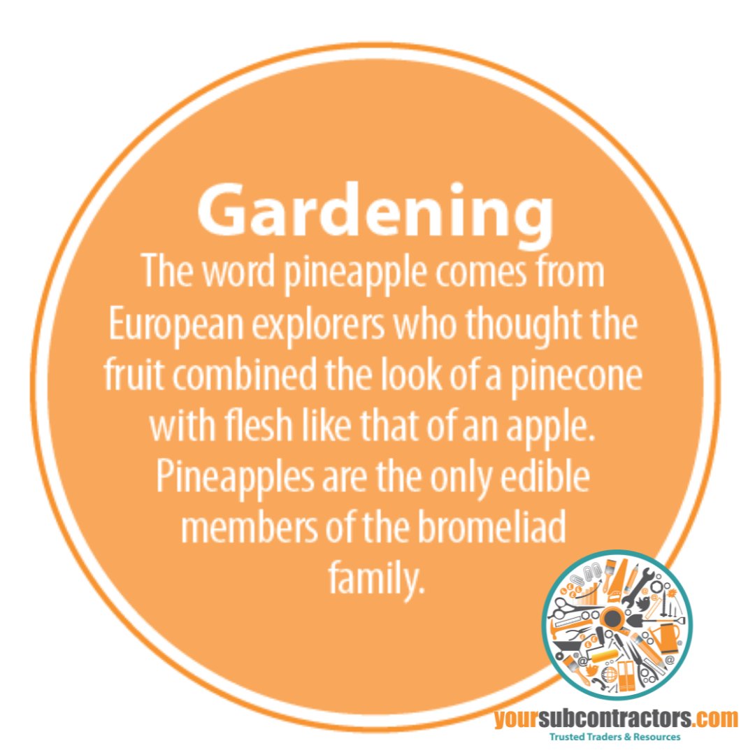 Spring is almost upon us! Our registered #Contractors are looking for #commercial #gardeners or #landscaping specialists like you! From the equivalent of £1 per day, you can be found for your next job.

✅ No hidden fees.
✅ No contracts.

Find out more: yoursubcontractors.com/subcontractor-…