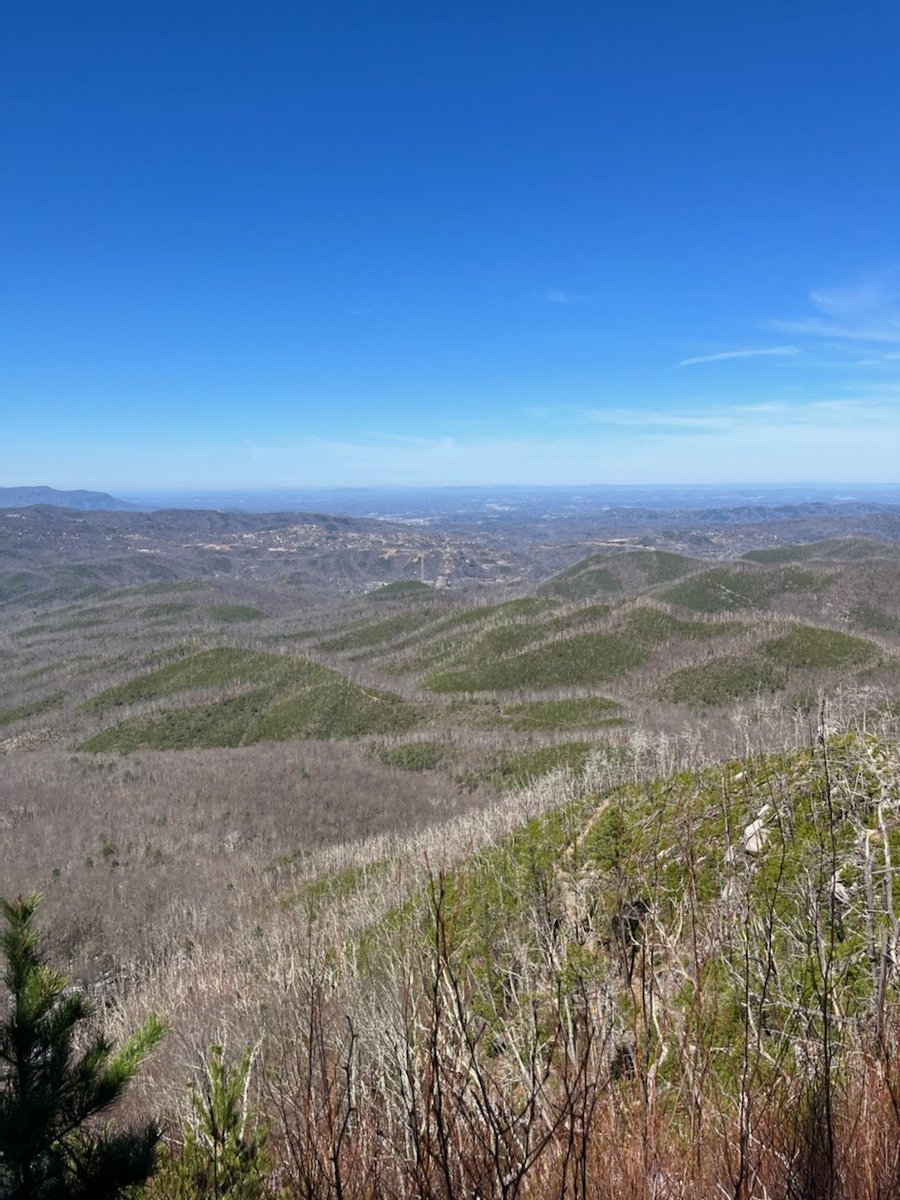 QMacrocarpa22's tweet photo. Day 1 of Disturbance Ecology inTHE GSMNP:  a hike up the Bullhead Trail to see the regrowth from 2016 Chimneys 2 fire.  (1 of 2) https://t.co/PYotxzj0Ep