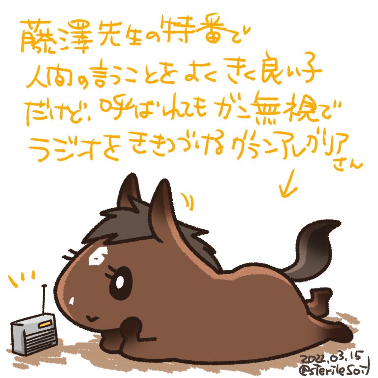 NHKBS1の藤澤先生(&amp;グランアレグリア)の密着ドキュメント
グランアレグリアがラジオに夢中で可愛い。 