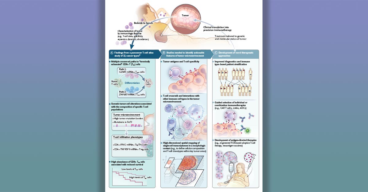 NEJM's tweet photo. Genetic landscaping and T cells are all the rage when it comes to tumor biology. Put them together and you get a comprehensive view of the T cell in the context of different types of cancer. https://t.co/t3IaT8kvCE https://t.co/LMnEm9JpqF