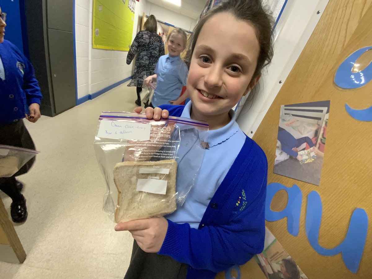 Year 4 Layton Primary School tweet media