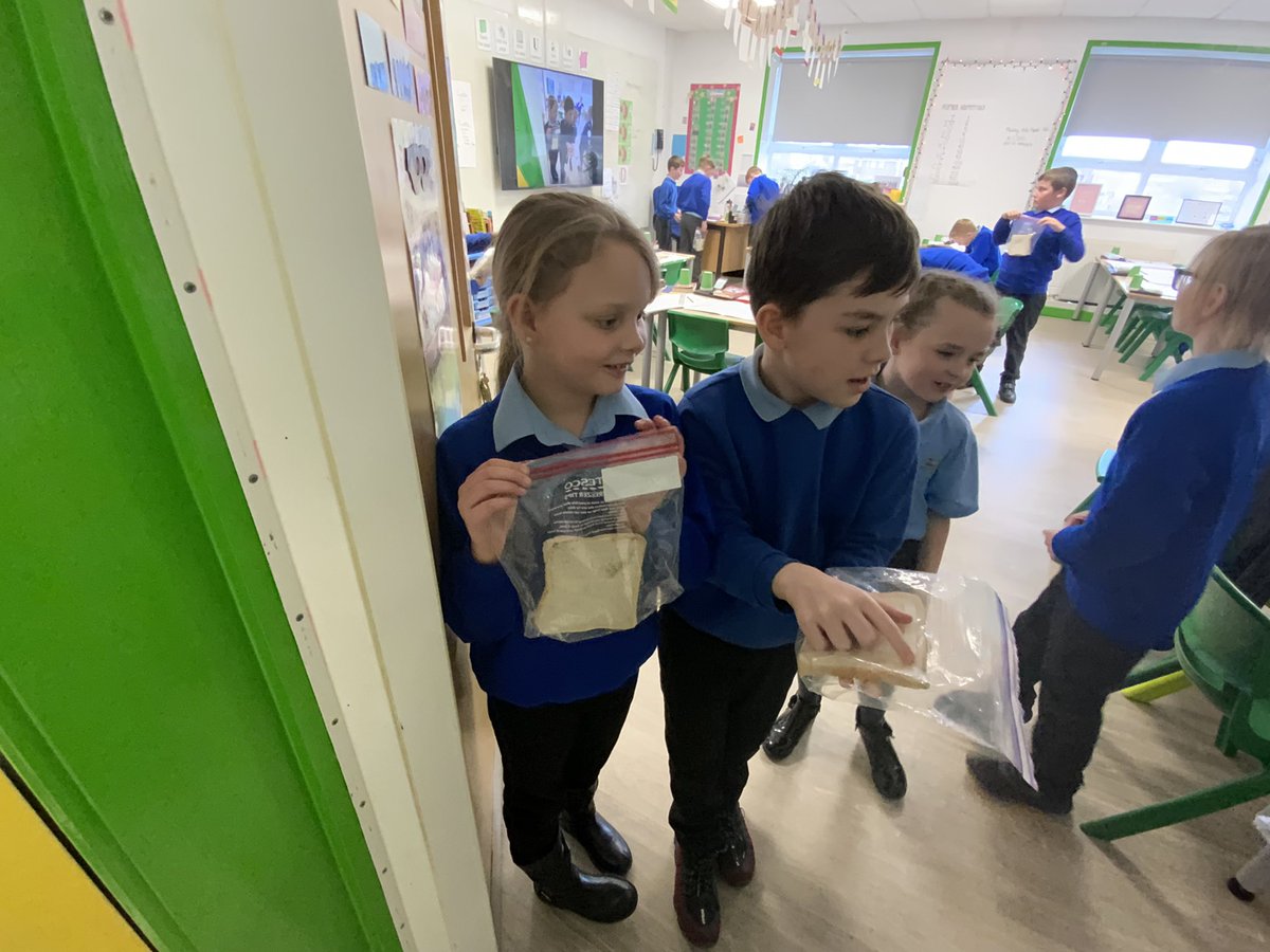 Year 4 Layton Primary School tweet media