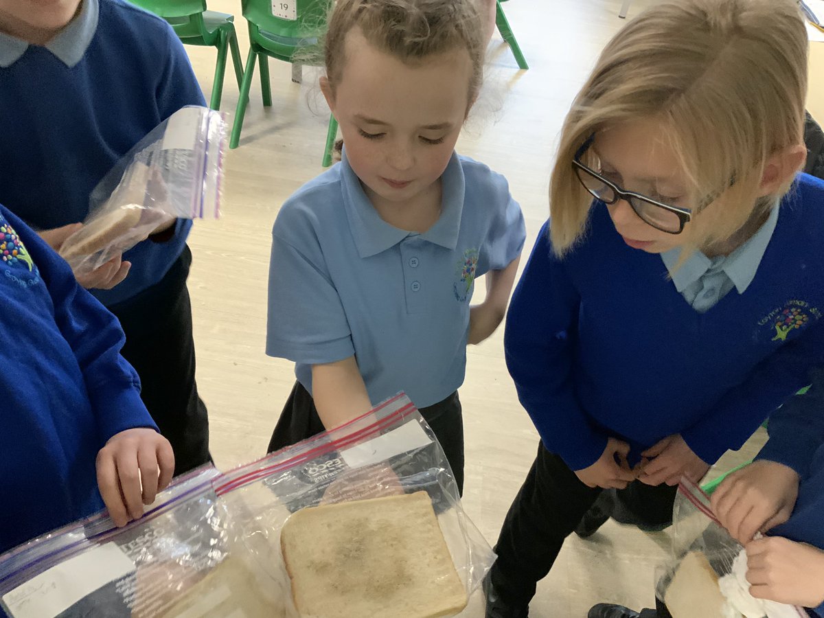 Year 4 Layton Primary School tweet media