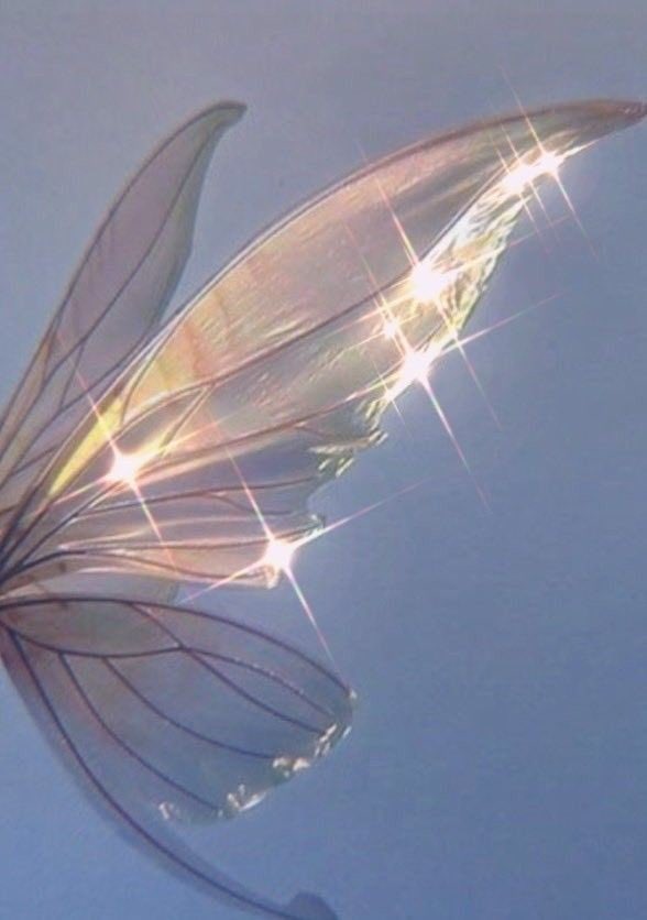 pomhaesoolover's tweet photo. Did it work?? 
Fairy Kim Jisoo🧚‍♀️✨ https://t.co/juXyEfuGbe
