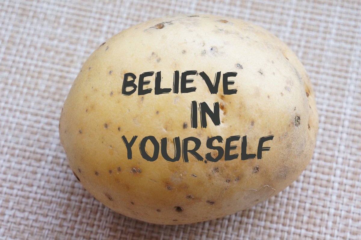 potato_buddy's tweet photo. @atimetass gm from @potato_buddy ! https://t.co/adB4eGfCYW