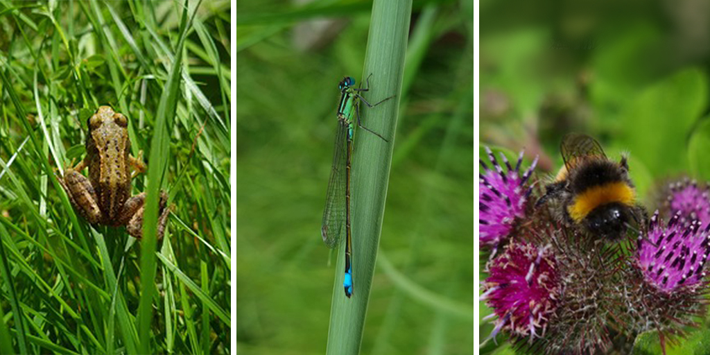 Chaffin Works tweet media