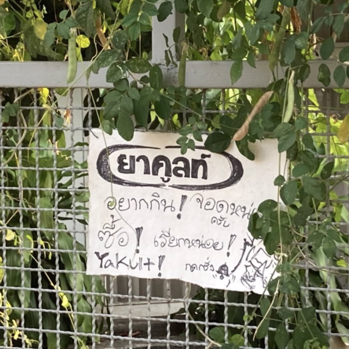 ก็อยากกิน อยากกิน อยากกินจริงๆ!! ซื้อครับ ซื้อ จอดหน่อยโว้ยยยย