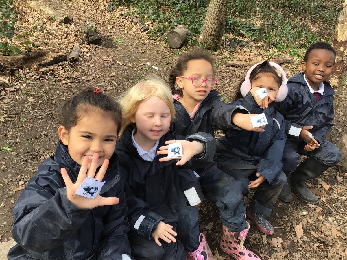 RP_Forest_sch's tweet photo. Today as a link to science week, we have learned the science of a spider, how it spins its web, and why it doesn't stick to its own web like it’s pray. https://t.co/1l1GrttXgX