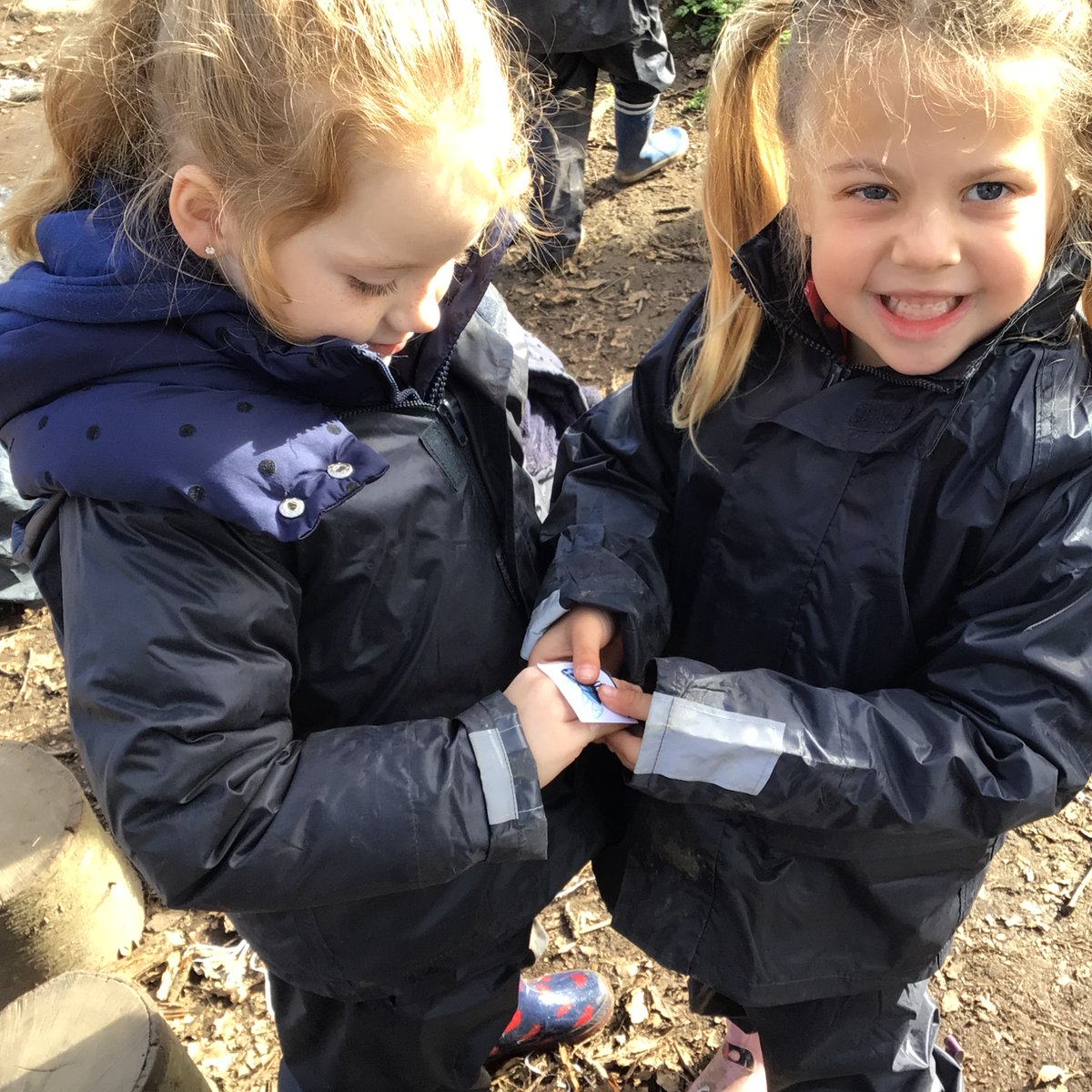 RP_Forest_sch's tweet photo. Today as a link to science week, we have learned the science of a spider, how it spins its web, and why it doesn't stick to its own web like it’s pray. https://t.co/1l1GrttXgX