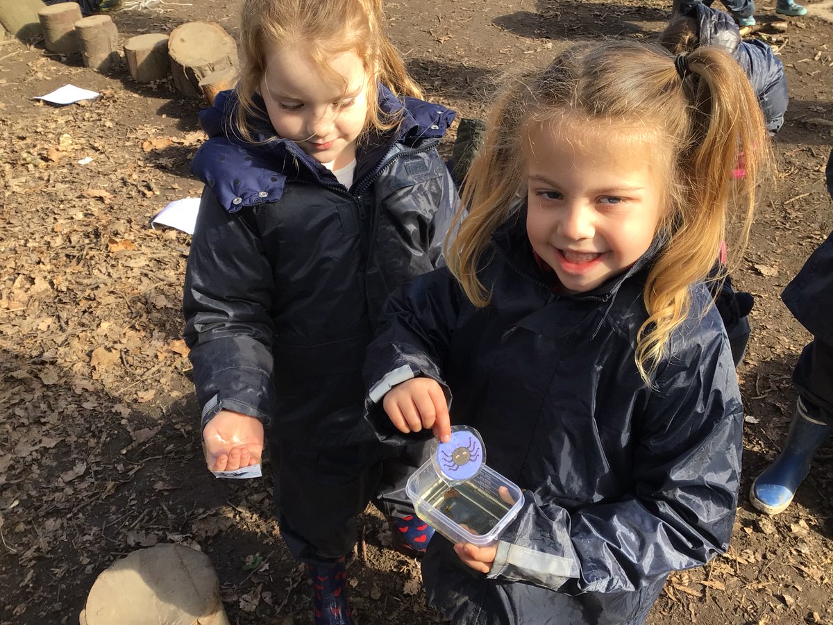 RP_Forest_sch's tweet photo. Today as a link to science week, we have learned the science of a spider, how it spins its web, and why it doesn't stick to its own web like it’s pray. https://t.co/1l1GrttXgX