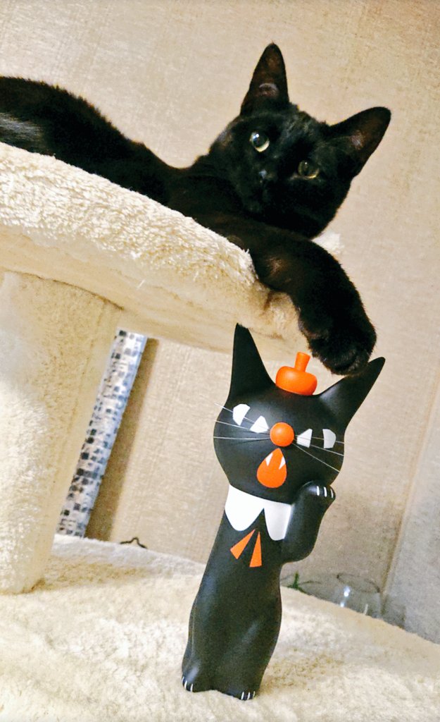 黒ねこ意匠 東リべ 進撃コラボ中 Kuroneko Robin Twitter