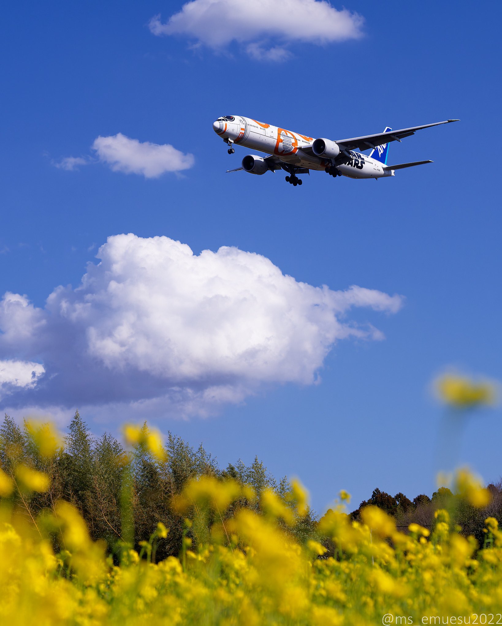 花と飛行機 Twitter Search Twitter