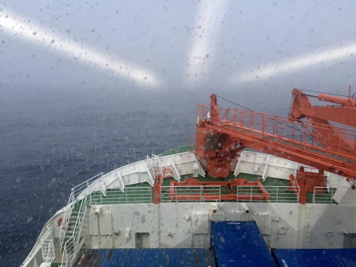 Polar Gliders tweet media